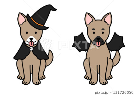 ハロウィンコスチュームの犬・保護犬・雑種犬 131726050