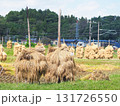 【岩手・平泉】稲を干す（ほんにょ）① 131726550