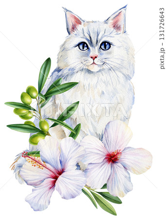 White Cat with Blue Eyes and Hibiscus Flowers Watercolor Illustration for design. Floral portrait cute kitten 131726643