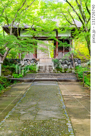 新緑の常寂光寺　仁王門と青もみじ　京都嵯峨小倉山小倉町（藤原定家の小倉山荘「時雨亭」の地） 131726740