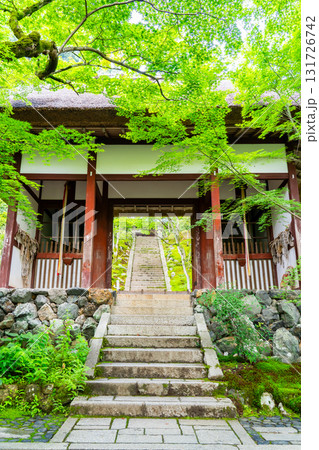 新緑の常寂光寺　仁王門と青もみじ　京都嵯峨小倉山小倉町（藤原定家の小倉山荘「時雨亭」の地） 131726742