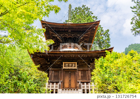 新緑の常寂光寺 多宝塔(重文)と青もみじ 京都嵯峨小倉山小倉町(藤原定家の小倉山荘「時雨亭」の地) 新緑の常寂光寺 多宝塔(重文)と青もみじ 京都嵯峨小倉山小倉町(藤原定家の小倉山荘「時雨亭」の地) 131726754