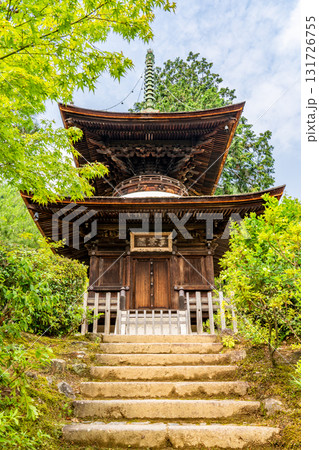 新緑の常寂光寺　多宝塔（重文）と青もみじ　京都嵯峨小倉山小倉町（藤原定家の小倉山荘「時雨亭」の地） 131726755
