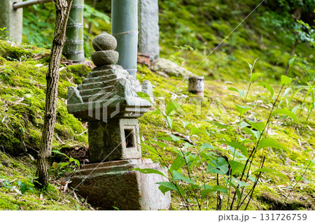 新緑の常寂光寺 苔庭と石塔 小倉百人一首編纂の地(藤原定家の小倉山荘「時雨亭」の地) 新緑の常寂光寺 苔庭と石塔 小倉百人一首編纂の地(藤原定家の小倉山荘「時雨亭」の地) 131726759