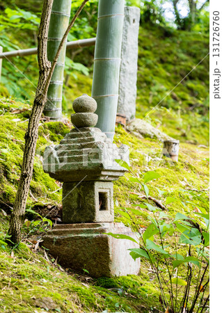 新緑の常寂光寺　苔庭と石塔　小倉百人一首編纂の地（藤原定家の小倉山荘「時雨亭」の地） 131726760