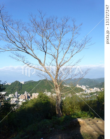 景色 風景 日 131727247