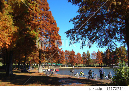 秋の舎人公園・大池にて(東京都足立区) 秋の舎人公園・大池にて(東京都足立区) 131727344