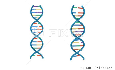 Normal DNA vs Point Mutation Comparison 131727427
