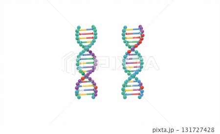 DNA Transcription Process with RNA Polymerase 131727428