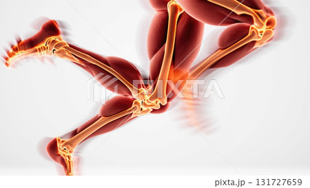 Running Leg Motion with Muscle Activation Gradient Running Leg Motion with Muscle Activation Gradient 131727659