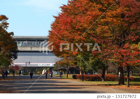 ［NT11］秋の日暮里・舎人ライナー舎人公園駅前にて 131727672