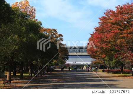［NT11］秋の日暮里・舎人ライナー舎人公園駅前にて 131727673