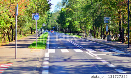 Jozefow, Poland. 21 September 2025. Road and green landscape at sunny day. Jozefow, Poland. 21 September 2025. Road and green landscape at sunny day. 131727833