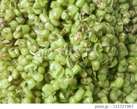 Recycled Mung Bean Hulls Background, Natural Fertilizer and Organic Compost 131727967