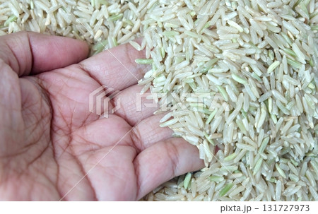 Hand Touching Raw Unpolished Brown Rice Grains Hand Touching Raw Unpolished Brown Rice Grains 131727973