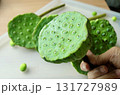 Hand Holding Fresh Edible Lotus Seed Pods 131727989