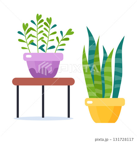 Houseplant and Green Flower Growing in Pot Vector Illustration Houseplant and Green Flower Growing in Pot Vector Illustration 131728117