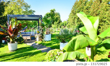 Beautiful summer garden with green grass, exotic plants and aluminum pergola. Professional luxury gardening concept. Beautiful summer garden with green grass, exotic plants and aluminum pergola. Professional luxury gardening concept. 131729025