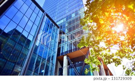 Glass office building surrounded with green trees.  Eco-friendly office building. Sustainable architecture of city reducing heat carbon dioxide modern city environment. 131729309