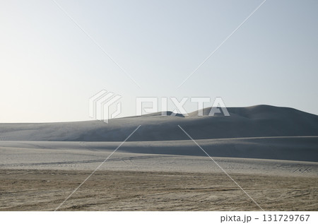 Desert Safari 131729767