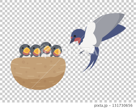 Illustration of a swallow trying to feed its chicks Illustration of a swallow trying to feed its chicks 131730656