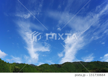 里山の爽やかな秋の空 里山の爽やかな秋の空 131730664