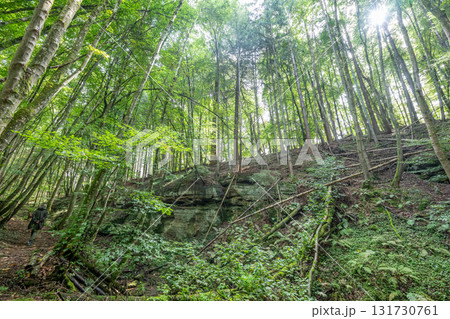 Beautiful green forest Hiking path with Sandstone chalk rock formations in Berdorf Mullerthal Luxembourg Beautiful green forest Hiking path with Sandstone chalk rock formations in Berdorf Mullerthal Luxembourg 131730761