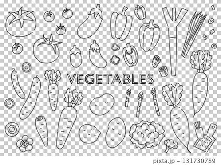 野菜の手描きイラストセット 野菜の手描きイラストセット 131730789