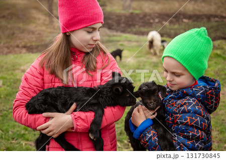 Joyful boy and smiling girl holding black goats on the farm. Rural lifestyle, childhood and animal care in the countryside. 131730845