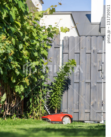 Autonomous red robotic lawn mower cutting grass in sunny garden near shed. Modern smart gardening equipment for lawn maintenance. Autonomous red robotic lawn mower cutting grass in sunny garden near shed. Modern smart gardening equipment for lawn maintenance. 131730911