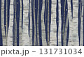 星が輝く、夜の白樺林の背景。水彩イラスト。 131731034