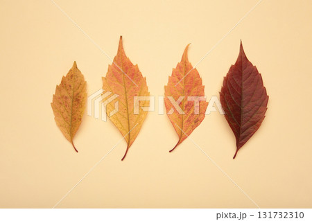 Colorful autumn leaves on beige background. Thanksgiving background Colorful autumn leaves on beige background. Thanksgiving background 131732310