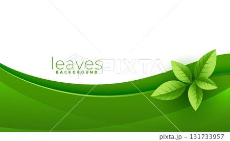 botanical green petals eco friendly background design botanical green petals eco friendly background design 131733957