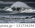 Waves, Surf, Swell, Ocean 131734294