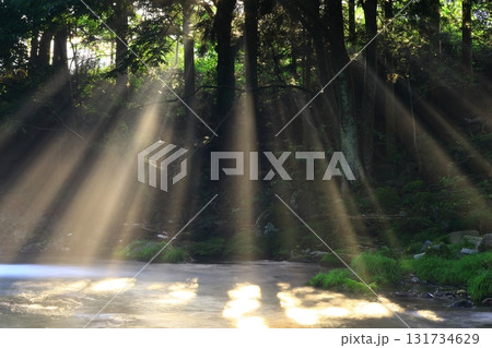 光さす夏の渓流 131734629