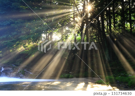 光さす夏の渓流 131734630