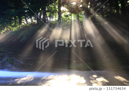 光さす夏の渓流 131734634