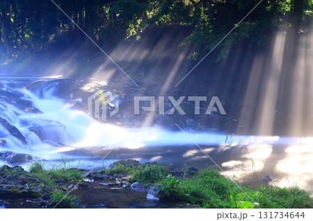 光さす夏の渓流 光さす夏の渓流 131734644