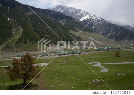 Trees with beautiful branches adorn the meadows and hills of Kashmir's Sonamarg, a land of natural beauty rich in pine forests, meadows and pristine white glaciers. At Jammu and Kashmir in India. 131735038