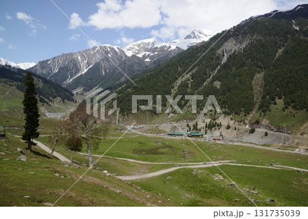 Sonamarg is the golden meadow of Kashmir, situated on the way to Leh, at an altitude of 2,740 meters above sea level. It is a land of natural beauty with pine forests, meadows and pristine. 131735039