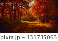 光差す紅葉の小径 131735063