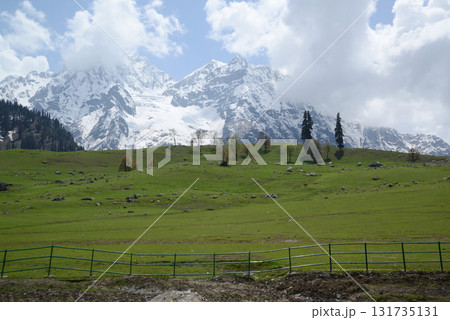 Sonamarg is the golden meadow of Kashmir, at an altitude of 2,740 meters above sea level. It is a land of natural beauty with pine forests, meadows and pristine white glaciers. Sonamarg is the golden meadow of Kashmir, at an altitude of 2,740 meters above sea level. It is a land of natural beauty with pine forests, meadows and pristine white glaciers. 131735131
