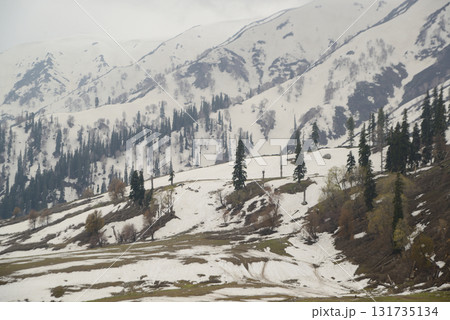 The beautiful scenery of Gulmarg, Kashmir, India, which is famous in the world for its true natural beauty. 131735134