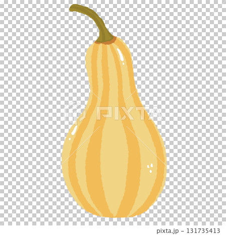 Striped Gourd Illustration Hand Drawn Autumn Harvest Vegetable Cozy Fall Decor Element Perfect for Thanksgiving and Farmhouse Design 131735413