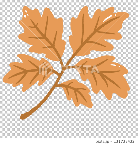 Cute Autumn Leaf Illustration Hand Drawn Fall Botanical Foliage Cozy Nature Orange Leaf Art 131735432