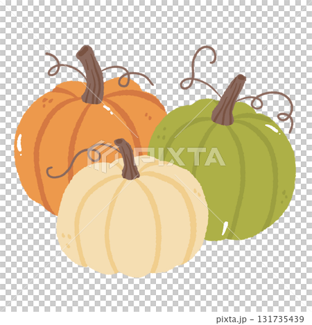 Hand Drawn Pumpkins Illustration Cozy Fall Harvest Vegetables Autumn Farm Orange Green Cream Pumpkin Art Hand Drawn Pumpkins Illustration Cozy Fall Harvest Vegetables Autumn Farm Orange Green Cream Pumpkin Art 131735439