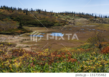 火打山 天狗の庭 火打山 天狗の庭 131735462
