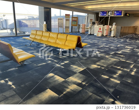 関西国際空港　国内線ターミナル 131736019