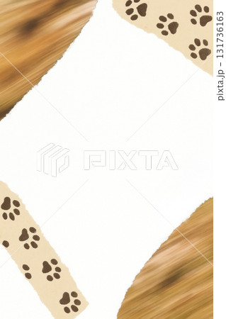 Postcard of Blank white paper with torn edges and animal paw print border design 131736163