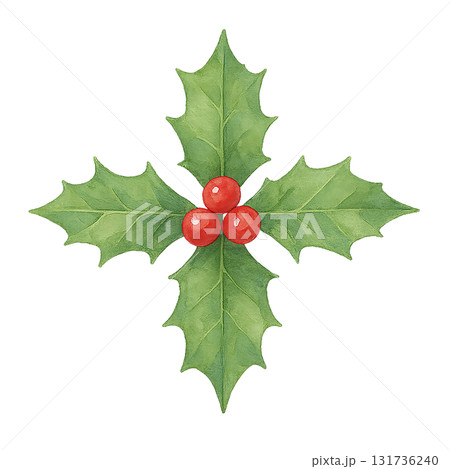 ヒイラギと赤い実の水彩イラスト素材(切り抜き) ヒイラギと赤い実の水彩イラスト素材(切り抜き) 131736240